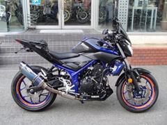 ヤマハ　ＭＴ−０３（３２０ｃｃ）