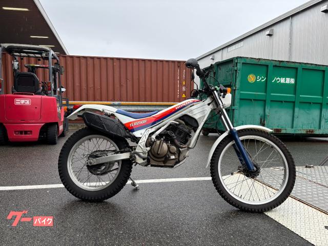 バイク TLR250R ホンダ TLR250R｜有限会社 バイクメカサービス｜新車・中古