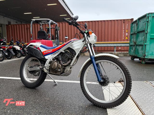 ホンダ TLR250R｜有限会社 バイクメカサービス｜新車・中古