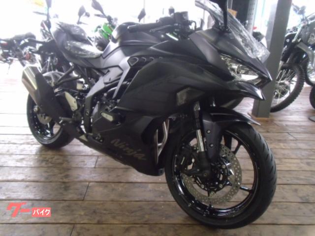 Ｎｉｎｊａ　ＺＸ−２５Ｒ　ＳＥ