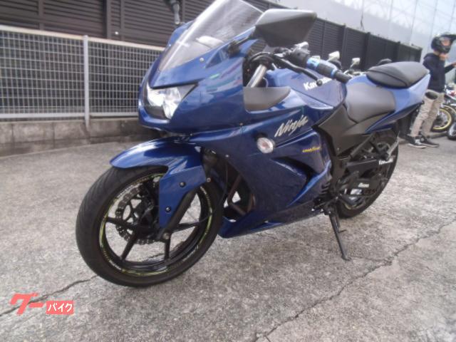 Ｎｉｎｊａ　２５０Ｒ