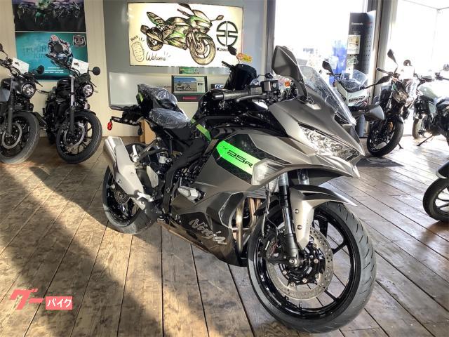Ｎｉｎｊａ　ＺＸ−２５Ｒ　ＳＥ
