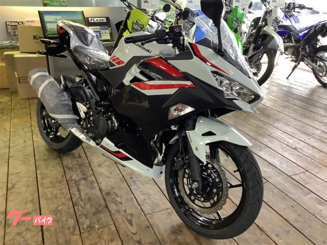 Ｎｉｎｊａ　２５０　パールロボティックホワイト　×　メタリックマグネティックダークグレー