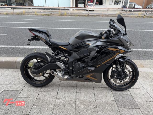 Ｎｉｎｊａ　ＺＸ−２５Ｒ　ＳＥ