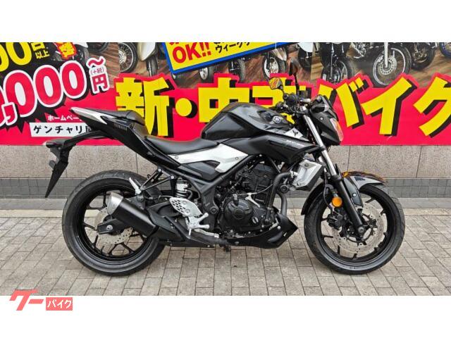 ＭＴ−２５　ＲＧ１０　２０１６年　インジェクション