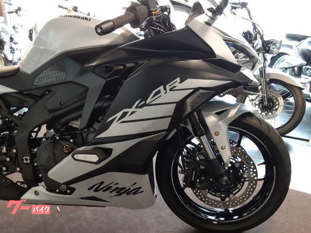 【日本未発売激レア】REISHAFT RS-89MS 世界500台限定｜カワサキ Ninja ZX-10R/RR、2021年モデルは