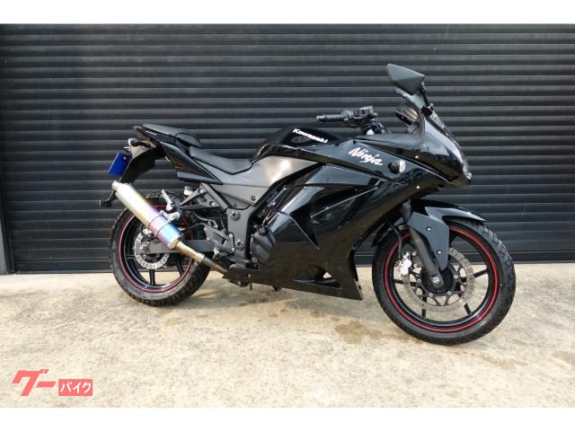 Ｎｉｎｊａ　２５０Ｒ