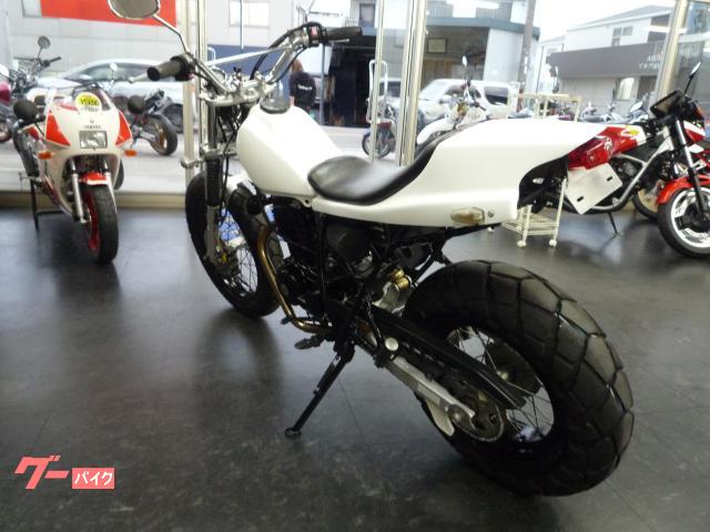 ヤマハ TW200E－2型 スカチューンカスタム ディスクブレーキ