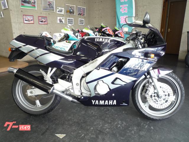 ＦＺＲ２５０Ｒ　８９ＥＸＵＰ　紺銀　規制前４５馬力　３ＬＮ