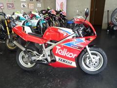 ヤマハ　ＴＺＭ５０Ｒ　ＷＧＰ優勝記念特別限定車　テレコール　９４ｙ