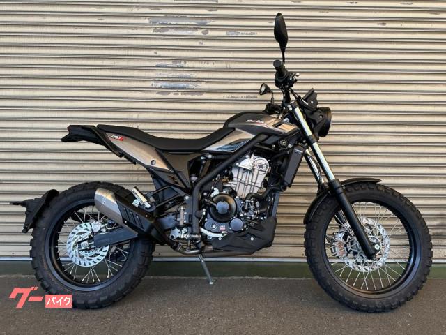 Ｂｅｔａ・ＡＬＰーＸ　２０２５年最新モデル・ＡＢＳ装備