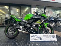 カワサキ　Ｎｉｎｊａ　６５０　ＡＢＳ　２０１８年モデル　フェンダーレス／ラジエターコアガード