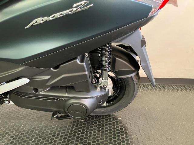 お買い得セット1名様⭐️プルメリア⭐️１２品種　１２株セット AZONE INTERNATIONAL::えっくす☆きゅーと