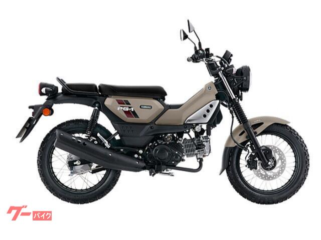 ＰＧ−１　タイ仕様　ＡＢＳ　ギアインジケーター　ブロックタイヤ搭載