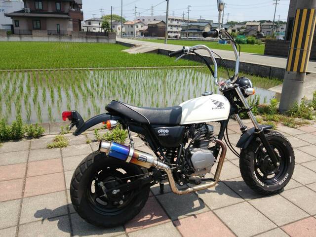 エイプ50 キャブ車用 BEAMS SS300カーボンマフラー ダウンタイプ