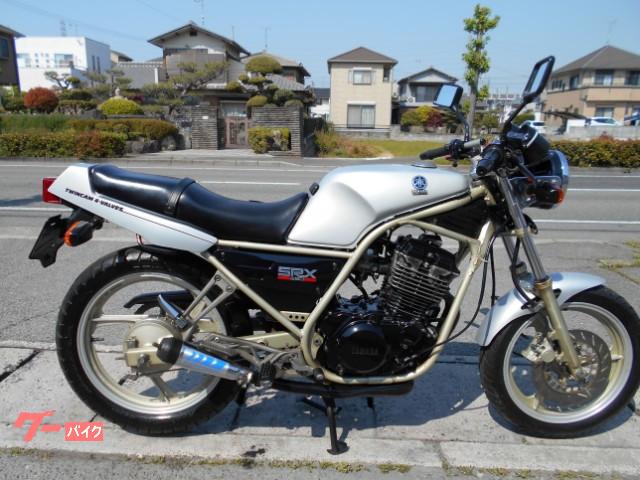 ヤマハ ＳＲＸ２５０ ５１Ｙ 前期モデル 丸目ライト仕様 ３２馬力｜バイクショップ ロード☆スター｜新車・中古バイクなら【グーバイク】