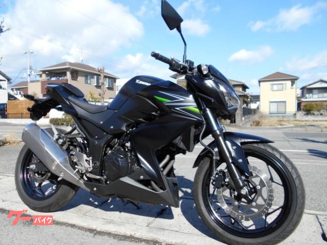 Ｚ２５０　ＥＲ２５０ＣＤＦ型　日本仕様　ノーマル車