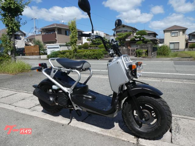 ホンダ ズーマー・デラックス ＡＦ５８－１８０ ＦＩ インジェクション スペアーキー有｜バイクショップ  ロード☆スター｜新車・中古バイクなら【グーバイク】