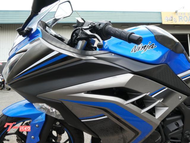 カワサキ Ninja 250 日本仕様 スペシャルエディション ABS