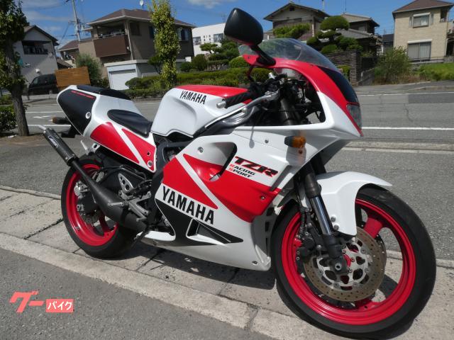 ヤマハ ＴＺＲ２５０ＲＳ １９９３年式 ３ＸＶ９モデル ＳＰ忠男ジャッカルチャンバー オーリンズリヤサス  ＯＸレーシングリミッターキット｜バイクショップ ロード☆スター｜新車・中古バイクなら【グーバイク】