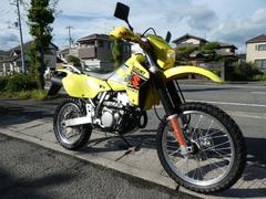 スズキ　ＤＲ−Ｚ４００Ｓ　リヤキャリヤー　レバーガード