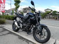 ホンダ　ＣＢ２５０Ｒ　ファイナルモデル　令和６年登録　タイプＣ充電器　エンデュランス大型リヤキャリヤー　グリップヒーター　スペアキー有