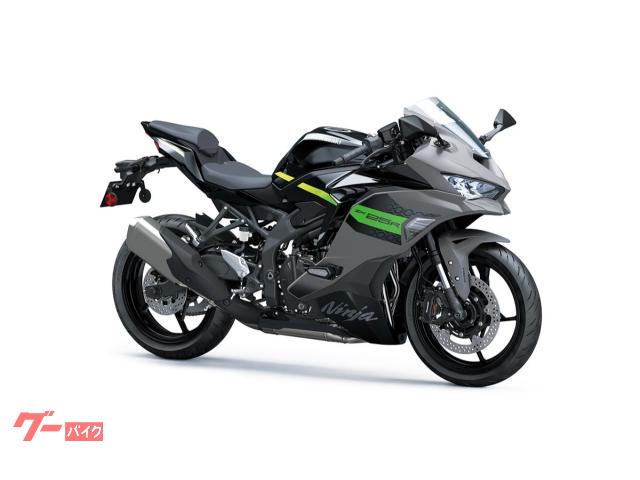 Ｎｉｎｊａ　ＺＸ−２５Ｒ　ＳＥ　２０２６年新モデル