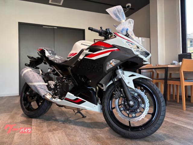 Ｎｉｎｊａ　２５０