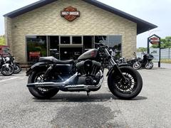 ＨＡＲＬＥＹ−ＤＡＶＩＤＳＯＮ　ＸＬ１２００Ｘ　フォーティエイト　二人乗り仕様　バーハンドル