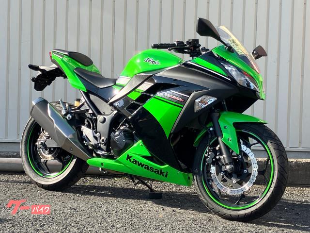 Ｎｉｎｊａ　２５０　２０１３年モデル　スペシャルエディション　フルノーマル