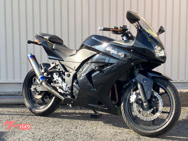 Ｎｉｎｊａ　２５０Ｒ　社外マフラー／バックステップ／フェンダーレス／エンジンスライダー