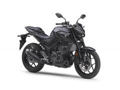 ヤマハ　ＭＴ−２５　ＡＢＳ　２５年最新モデル　国内仕様新車