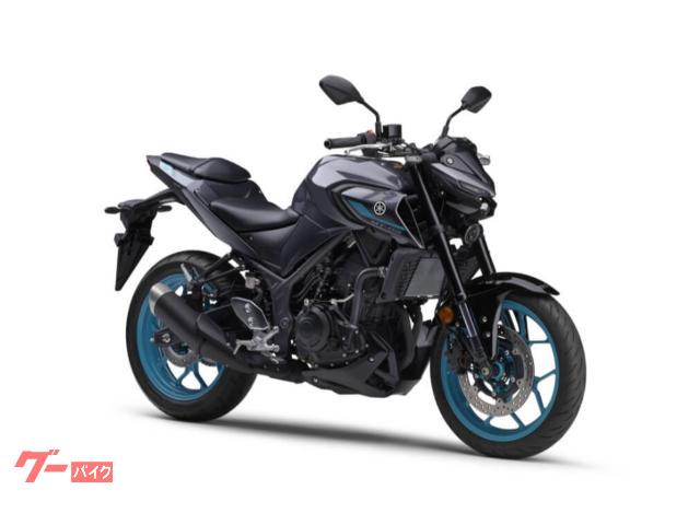 ＭＴ−０３（３２０ｃｃ）　２４年モデル　国内仕様　新車