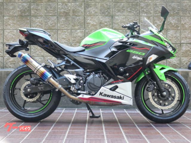 Ｎｉｎｊａ　２５０　ＫＲＴ　ＡＢＳ　２１年モデル