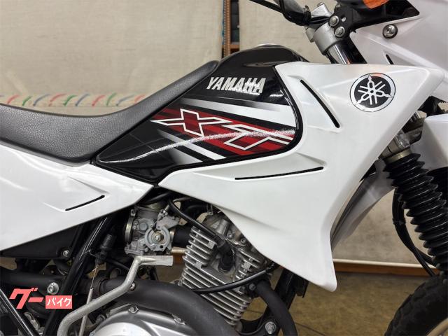 ヤマハ　XTZ125E 配送可能　支払いは現金or振り込みも可能 ついに XTZ125E お持ち帰りツーリング - 125の風は自由にする