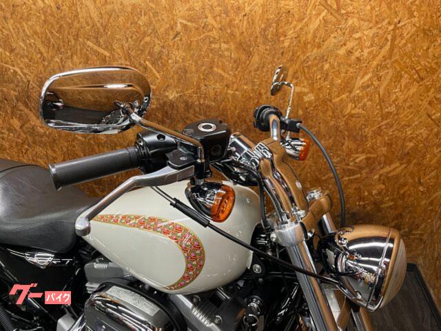 HARLEY－DAVIDSON XL883C カスタムペイント