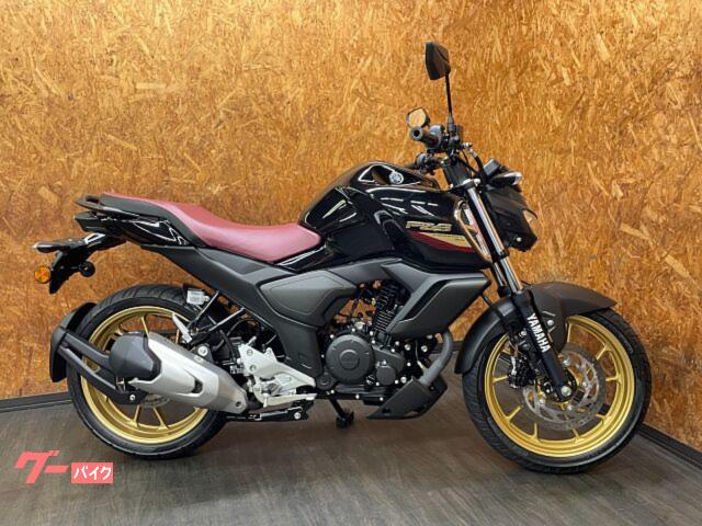 ＦＺＳ−ＦＩ