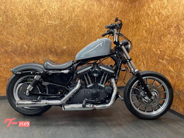 ＸＬ８８３Ｒ　ＳＥスリップオン　アレンネスエアクリ　スカチューン　ローダウン　フルカスタム