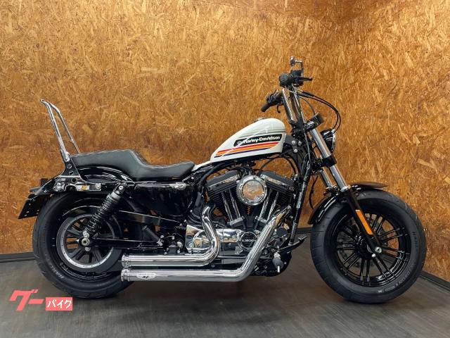 ＸＬ１２００ＸＳ　フォーティエイトスペシャル　ＭＦ×ＡＲＬＥＮＮＥＳＳマフラー　ナノウィンカー　スカチューン　フルカスタム