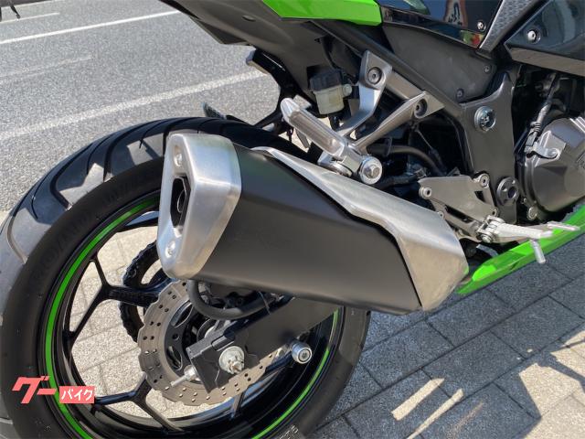カワサキ Ninja 250 EX250L型 スペシャル