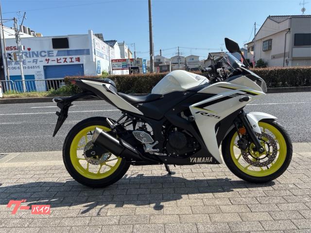 ＹＺＦ−Ｒ２５　ＲＧ４３Ｊ型　ノーマル仕様　エンジンガード　ヘルメットホルダー付