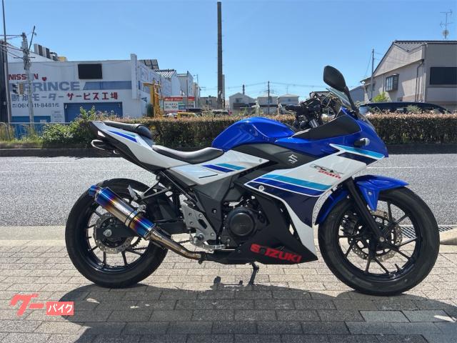 GSX250R ETC車載器 BEEMS社製マフラー リアフェンダーレス マルチバー付