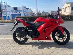 カワサキ　Ｎｉｎｊａ　２５０Ｒ　カウルガード付　パッションレッドカラー