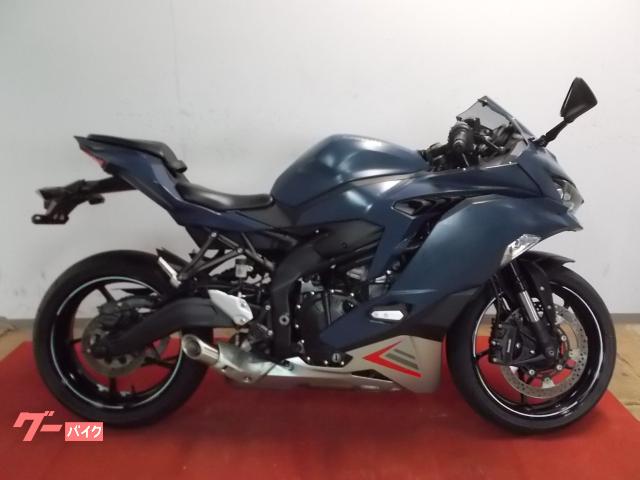 Ｎｉｎｊａ　ＺＸ−２５Ｒ　ＳＥ