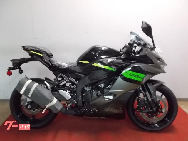 Ｎｉｎｊａ　ＺＸ−２５Ｒ　ＳＥ