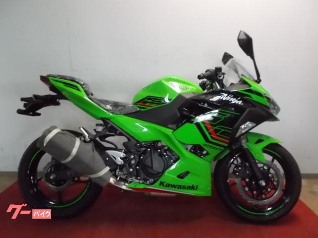 Ninja 250