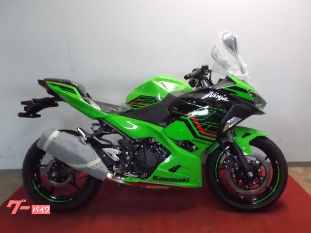 Ｎｉｎｊａ　２５０