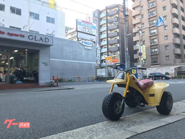 ヤマハ ＹＡＭＡＨＡ・他車種 ＹＴ６０ トライジンガー ３輪バギー ２スト｜モトスポーツ ＧＬＡＤ／ＡＬＴ｜新車・中古バイクなら【グーバイク】