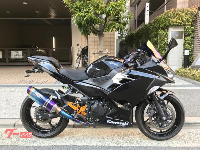 Ｎｉｎｊａ　４００　ビートジャパン製フルエキゾーストマフラー　ビートジャパン製バックステップ　ＥＴＣ装備　フェンダーレス　　その他
