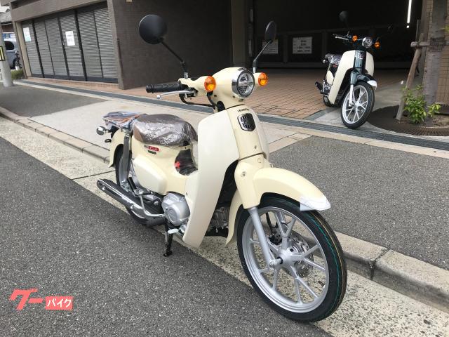 ホンダ スーパーカブ110・2026年最新モデル・国内生産モデル